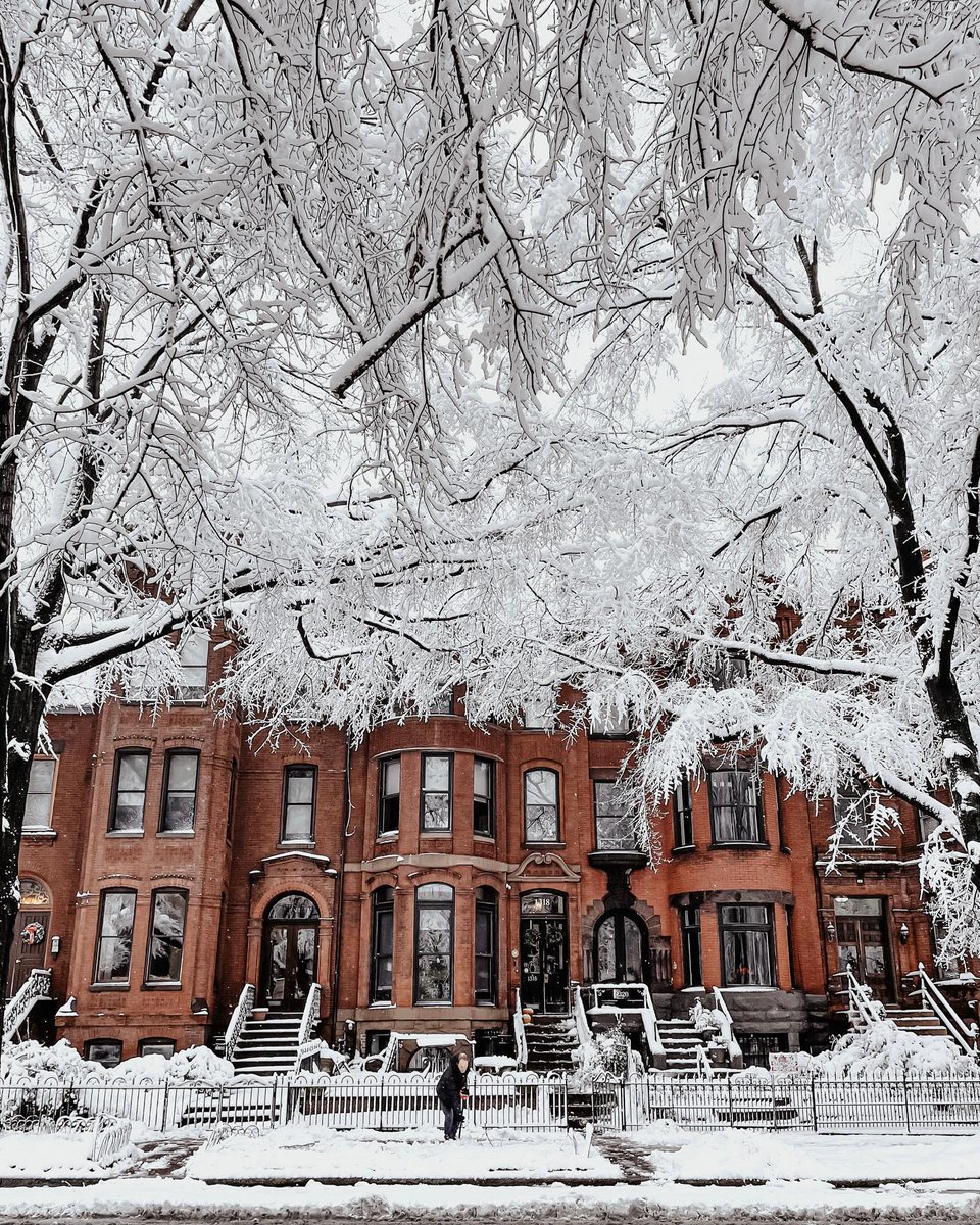 washingtondc's tweet image. How many more inches of snow do you think we'll get this winter in DC? ❄️🩵

📸: creative.bursts, coryandthecity, emzilee, hocofoto / IG #Only1DC