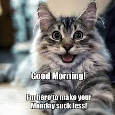 leni_iscar's tweet photo. Good monday's morning!! https://t.co/BeSB4Cgyhk