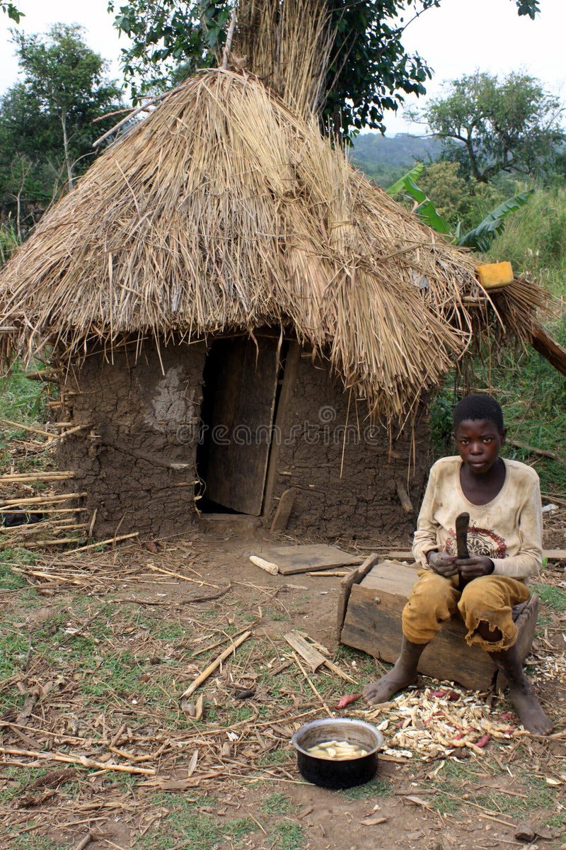 HeinHam's tweet photo. @SarahAllisonFl that's why you're so smart they still live in huts in africa https://t.co/VKT25DcOYe