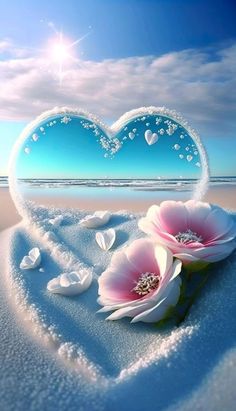 keke (@keke955975) on Twitter photo 