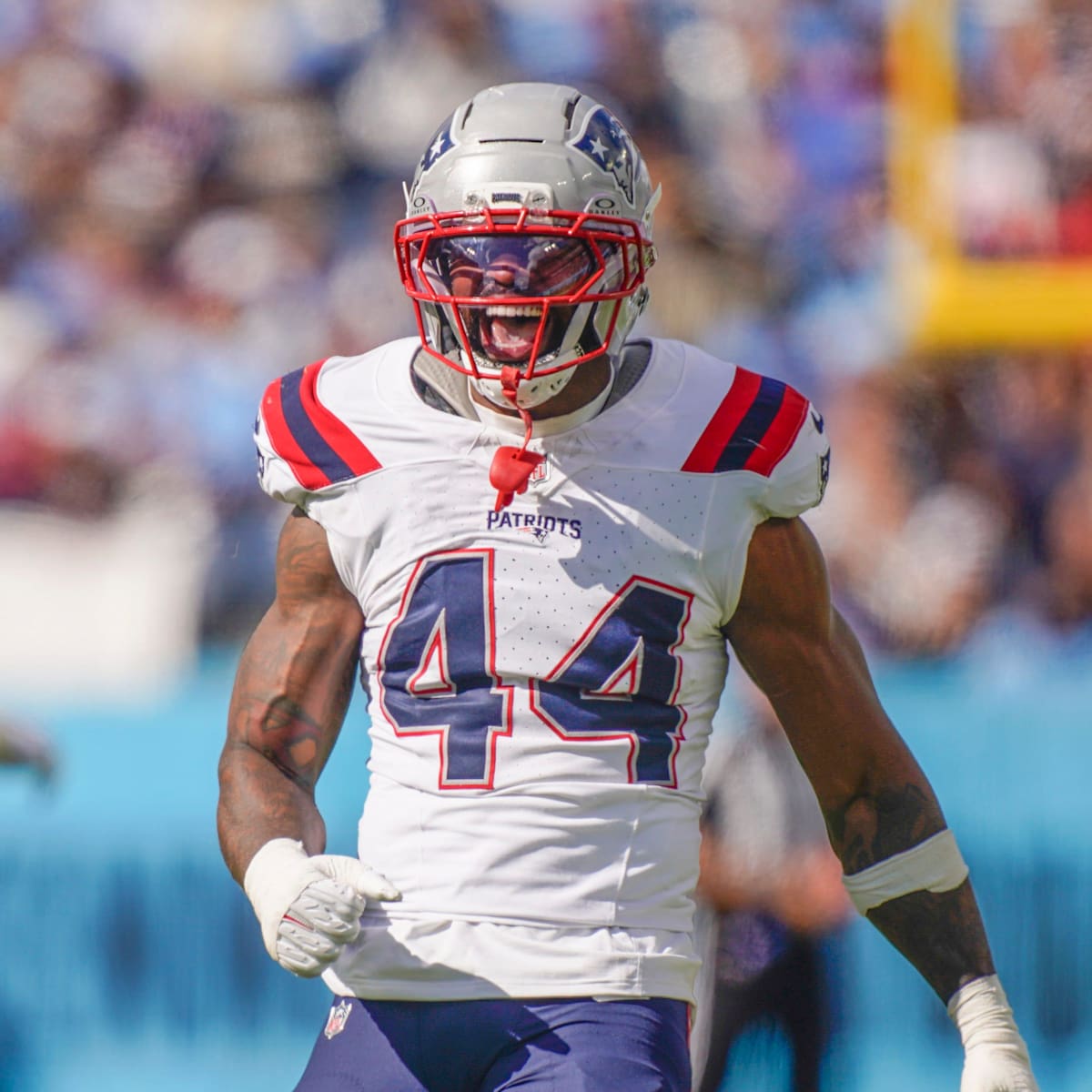 Patriots LATAM tweet media