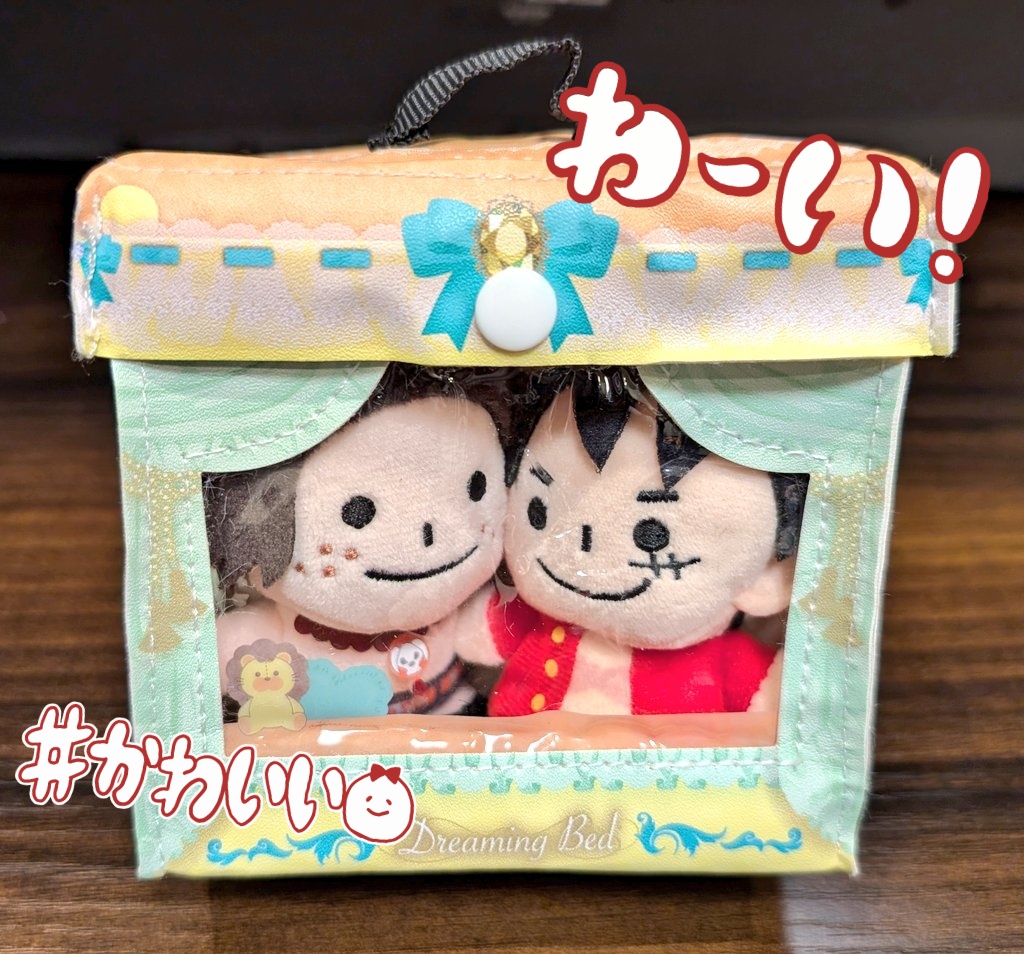 ぬい用のお姫様ベッド、ワンチャンふたり入らないかなと思って試したら行けました　やったぜ