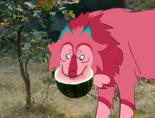 wolf🍉ΘΔ tweet media