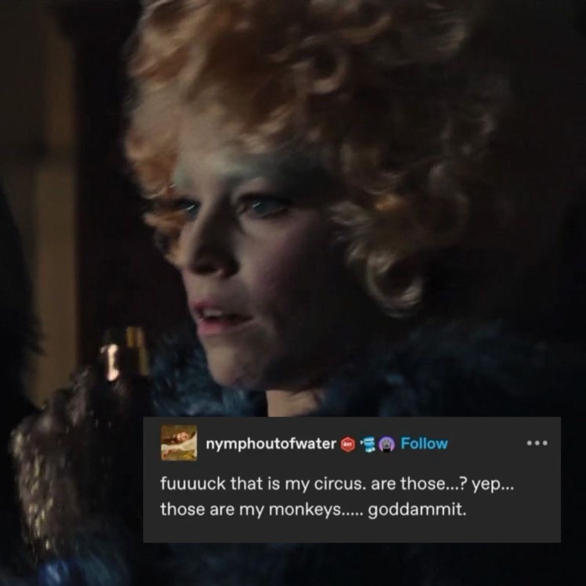 marla ✶ ࣪˖࿐ * (@propheticinsect) on Twitter photo 
