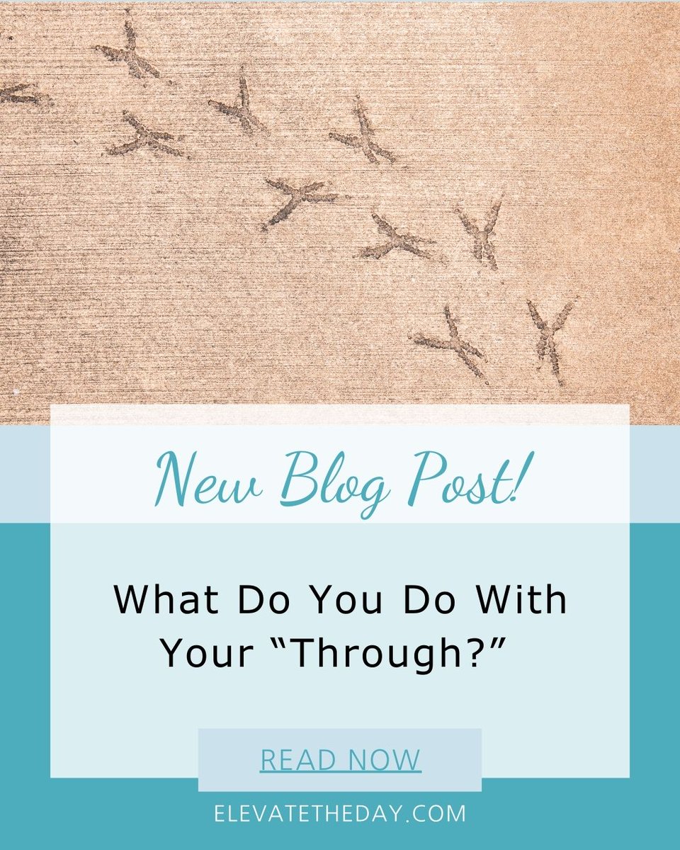 This week's Elevate The Day blog post - "What Do You Do With Your Through" is here! And it’s for anyone who feels stuck in the middle of a hard season. 
Read this week’s post now here: elevatetheday.com/?p=8760
Open, read, and subscribe to stay encouraged!