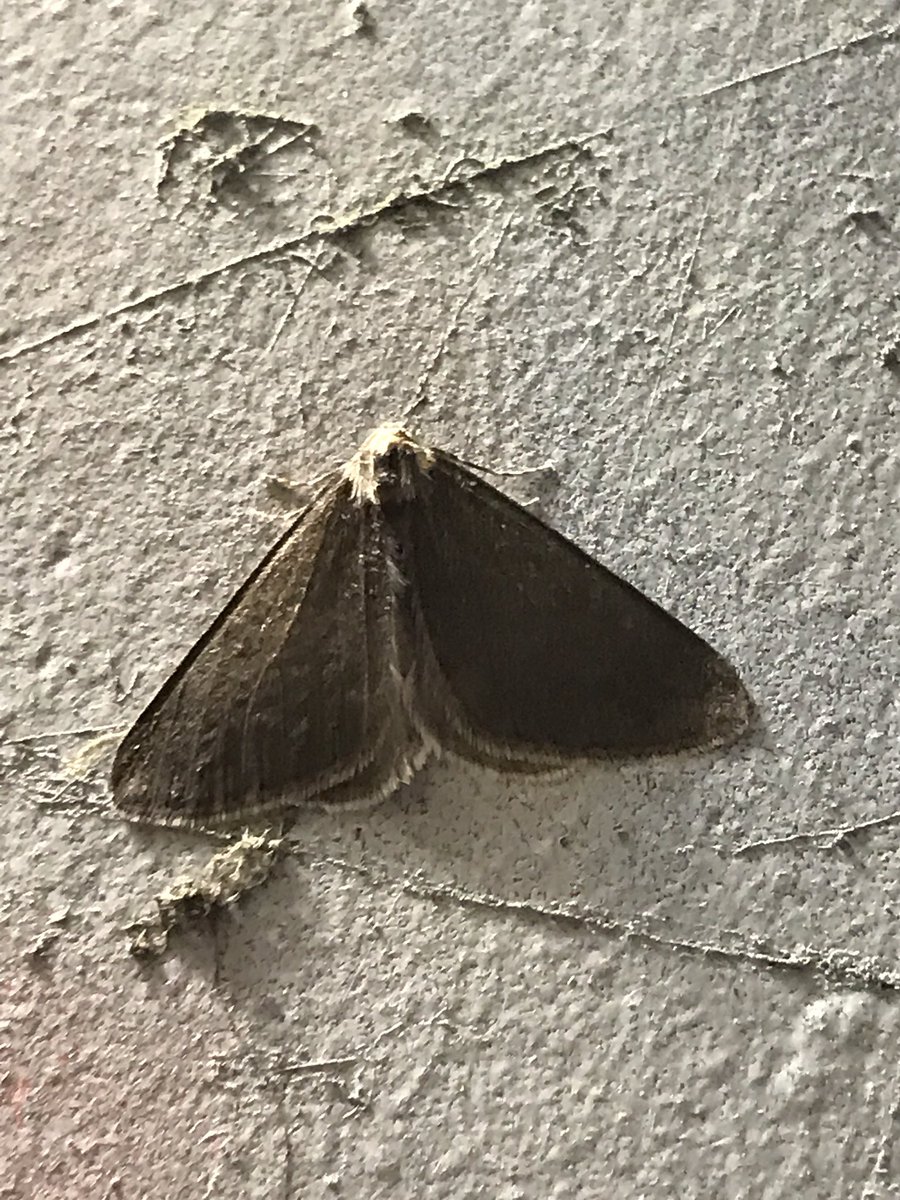 Phil Jackman tweet media