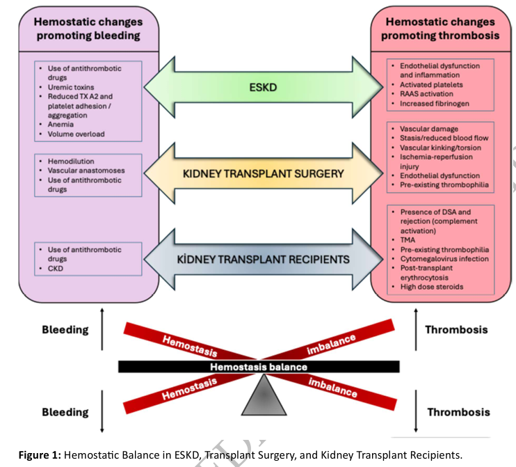 NDTsocial's tweet photo. Management of Antithrombotic Therapies in Kidney Transplantation Candidates and Recipients: 

An ERBP Clinical Practice Document by the Descartes Working Group of the ERA  and the EKITA Committee of ESOT

🆓https://t.co/Qew1U4uz4O

@ERAkidney @ESOTtransplant https://t.co/AIa5rGkXJQ