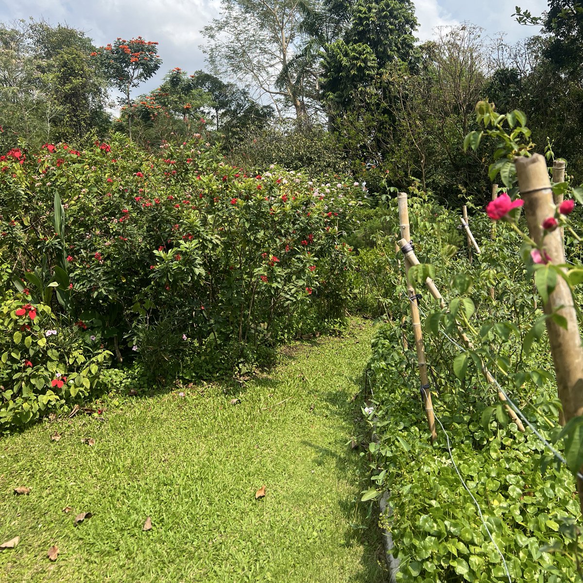 bleuefly^ྀི tweet media