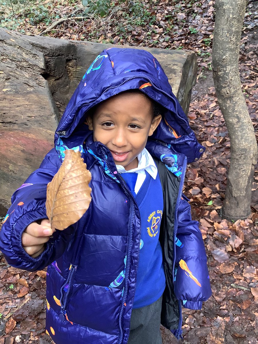 AbbeyPrimary's tweet image. Hunting for natural resources…. This is what we’ve found so far! #Y1 #Art #Forestschool