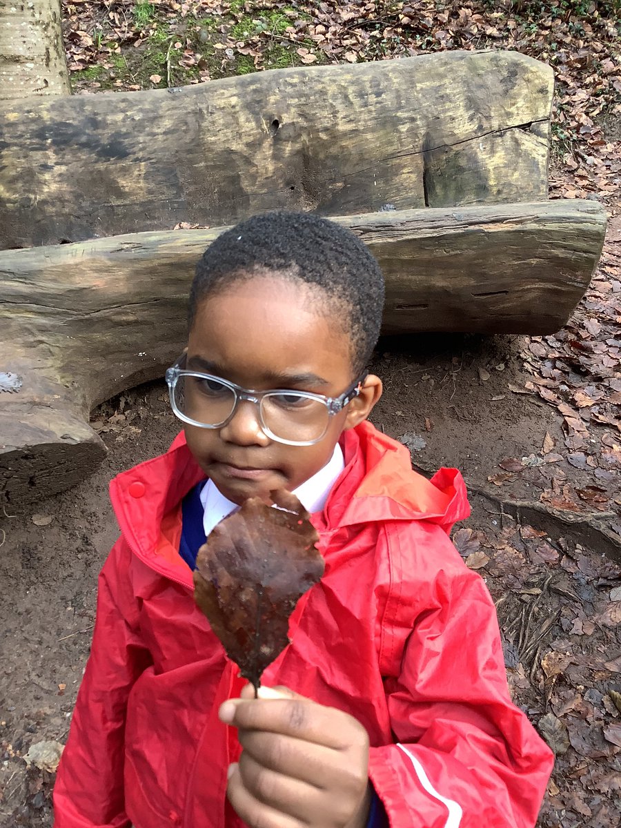 AbbeyPrimary's tweet image. Hunting for natural resources…. This is what we’ve found so far! #Y1 #Art #Forestschool
