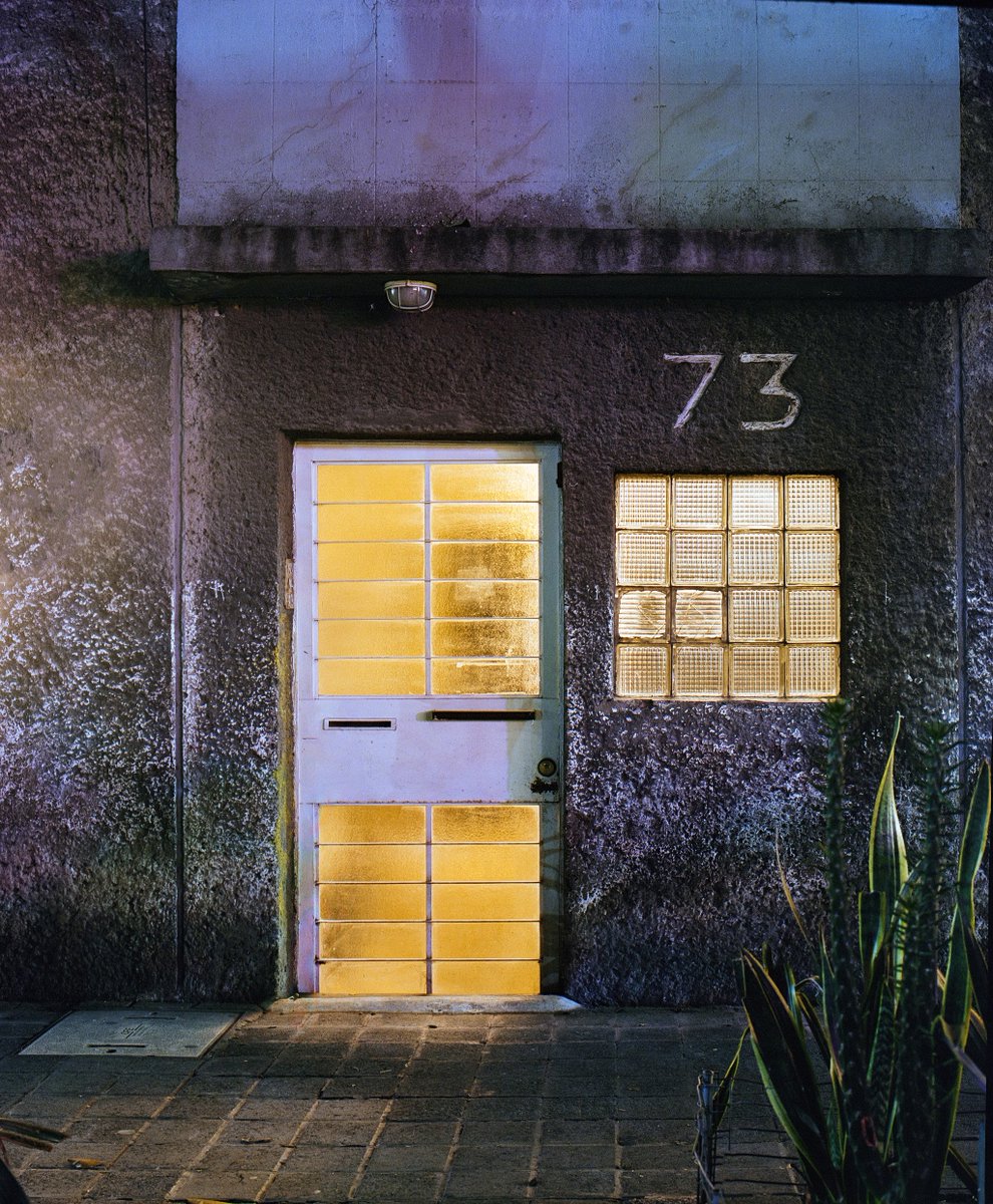 suffer rosa tweet media