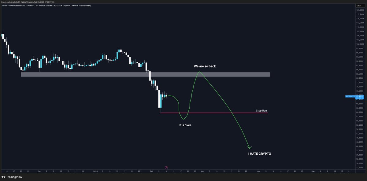 Trader Koala tweet media