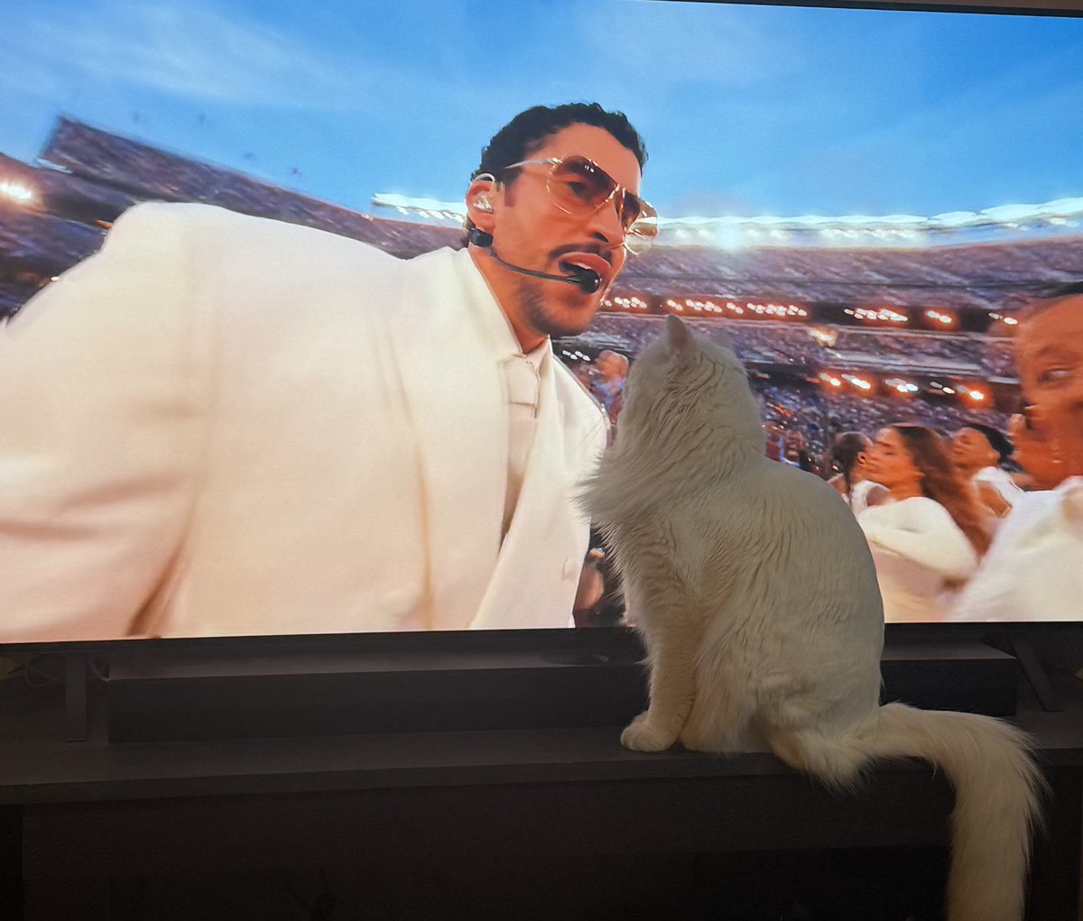 Sole Felloza tweet media