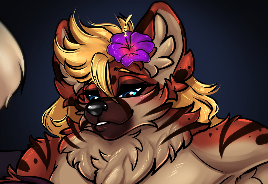 PapaKrok 🇳🇴🌴 tweet media