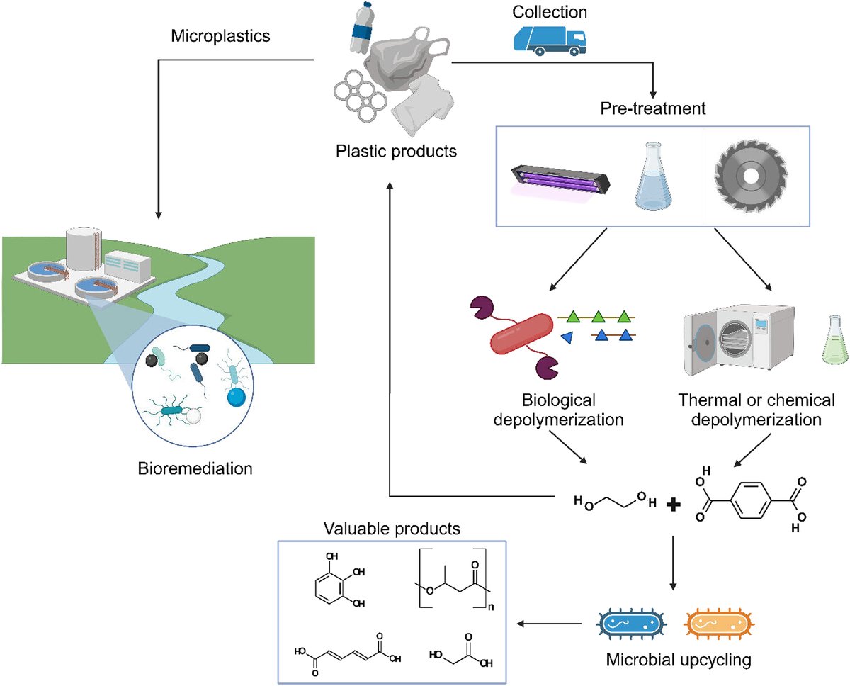 Canadian Journal of Microbiology tweet media