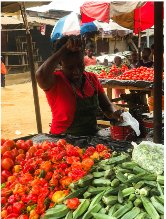 TouchScience Africa tweet media