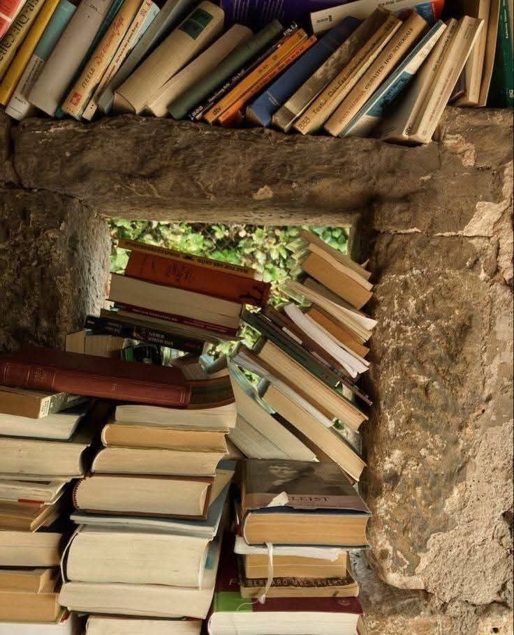 lovssparkles's tweet photo. *: 𓏲ׄ 📖 livros lidos em 2026

"we are who we are for a lot of reasons. and maybe we'll never know most of them" https://t.co/qp0ix5QCmA