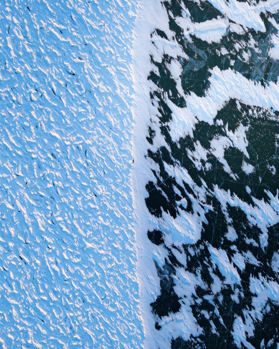 Kyle Wicks tweet media