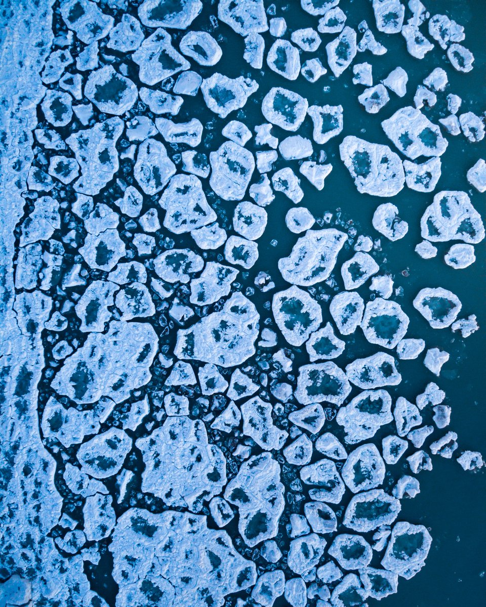 Kyle Wicks tweet media