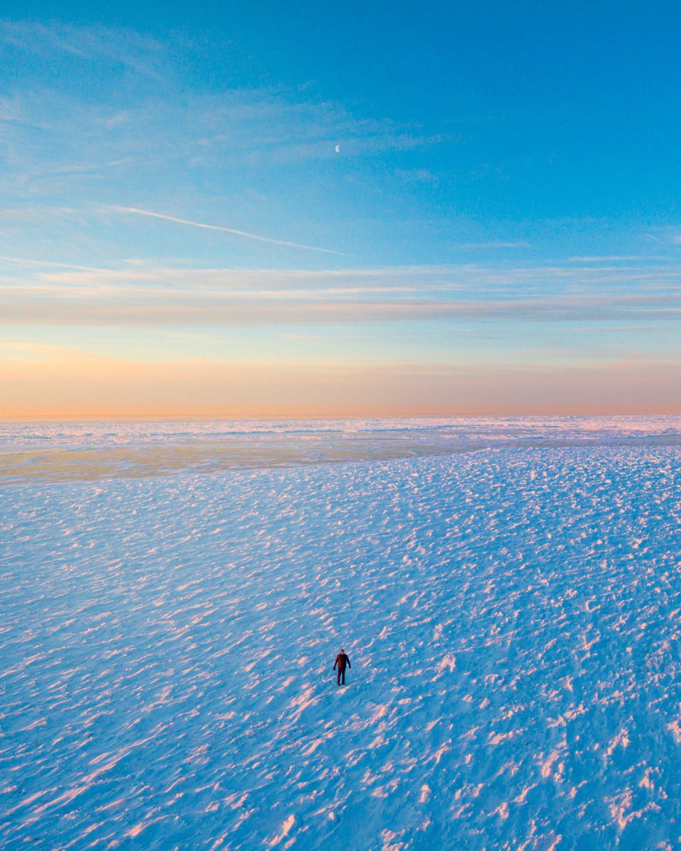 Kyle Wicks tweet media