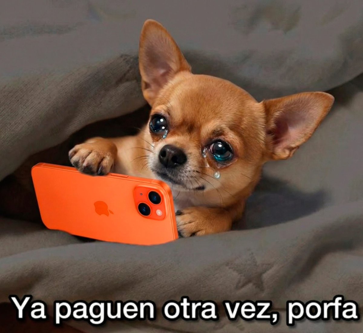 El Meme (@memessv7) on Twitter photo 