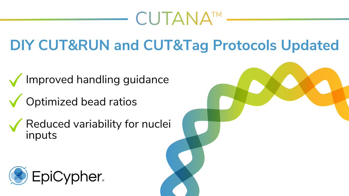 epicypher's tweet photo. 🧪 Running DIY CUT&amp;RUN or CUT&amp;Tag with EpiCypher? Our updated protocols are live with improved guidance, refined bead ratios, and new CUTANA™ DNA Purification Beads. Check out the updates and share your thoughts! 👇 #CUTandRUN #CUTandTag #Epigenetics https://t.co/rpxgQllb7r