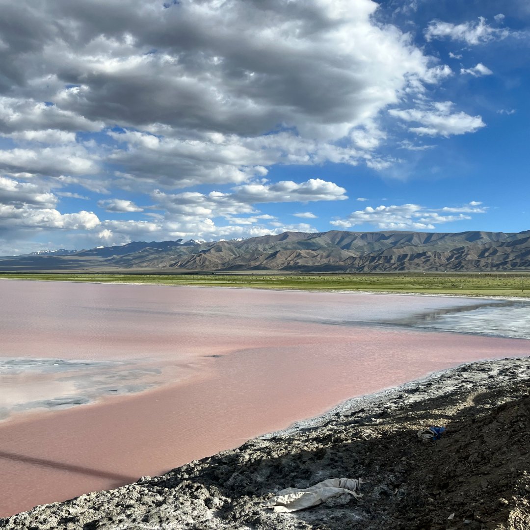 ASMicrobiology's tweet photo. #MicrobiologyMonday: A new study from China’s Turpan–Hami Basin shows how microbes shift across deserts, wastelands and hypersaline lakes. 🌵🦠 Deserts are shaped by strong filtering, while hypersaline sites are driven by drift. Read more in #AppEnvMicro: https://t.co/9lcL1INzUw https://t.co/WNJqxWLUBp