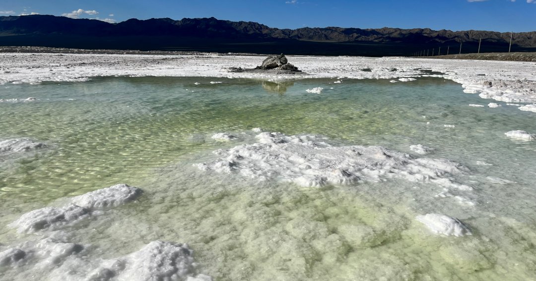 ASMicrobiology's tweet photo. #MicrobiologyMonday: A new study from China’s Turpan–Hami Basin shows how microbes shift across deserts, wastelands and hypersaline lakes. 🌵🦠 Deserts are shaped by strong filtering, while hypersaline sites are driven by drift. Read more in #AppEnvMicro: https://t.co/9lcL1INzUw https://t.co/WNJqxWLUBp