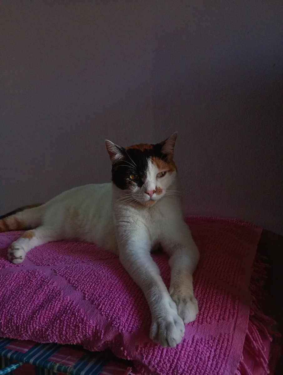 Con cara de culo como toda reina