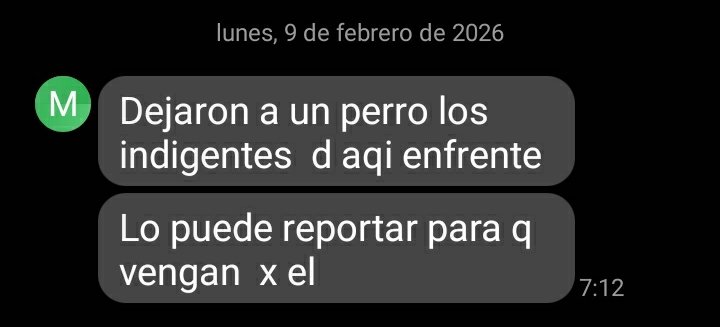 LaColoniaJuarez's tweet image. Indigentes que acampaban en Avenida Chapultepec se van y abandonan a este perrito.
En el lugar además dejaron basura y desechos. 
El perrito no se deja agarrar, está dando vueltas como buscándolos. No tienen corazón.