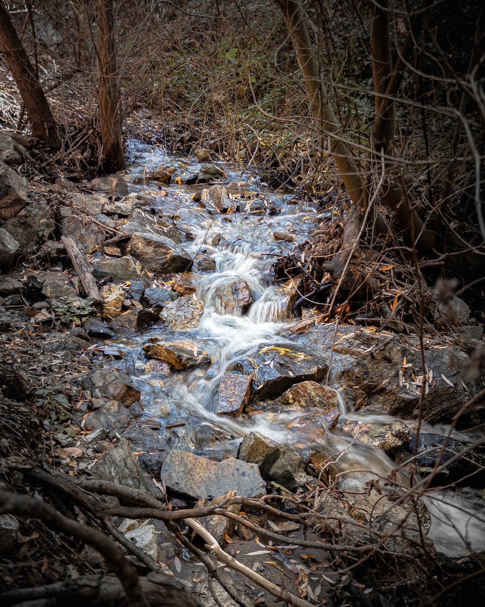 donjschaffer's tweet photo. A fun winter hike along Waterfall Trail in Newhall, CA via Walker Ranch Trailhead! Perfect for kids &amp; adults, but bring waterproof shoes. 🥾Pics captured with @adobe @Lightroom @sandmarc.

Any tips for the perfect shot? Share your thoughts! 📸

#shotoniphone #sandmarc #lahikes https://t.co/JMpcyH1r8d