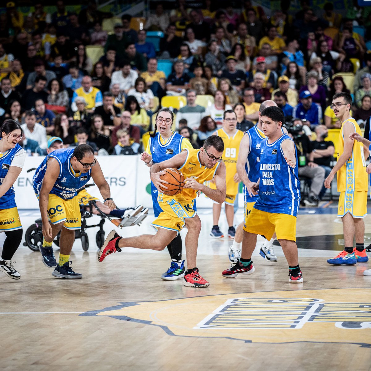 Dreamland Gran Canaria tweet media