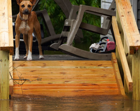 Adrián 🚒 tweet media