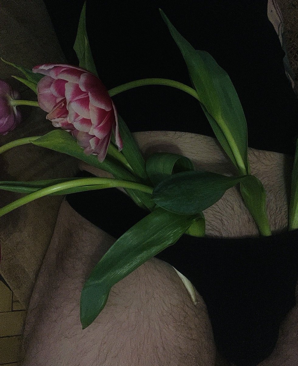 IvanSHEPPARD300's tweet photo. 🌿💐 https://t.co/patckTFG4a