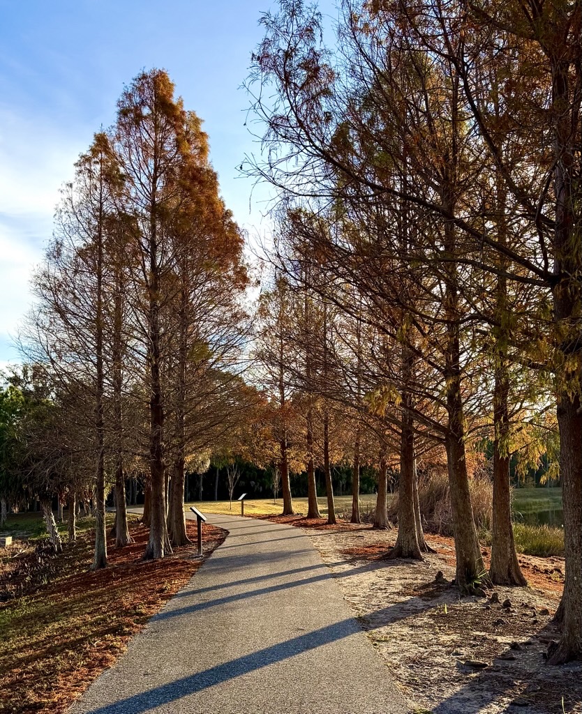 Manatee County Government tweet media