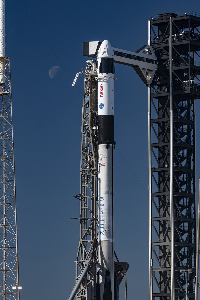 Kiko Dontchev tweet media