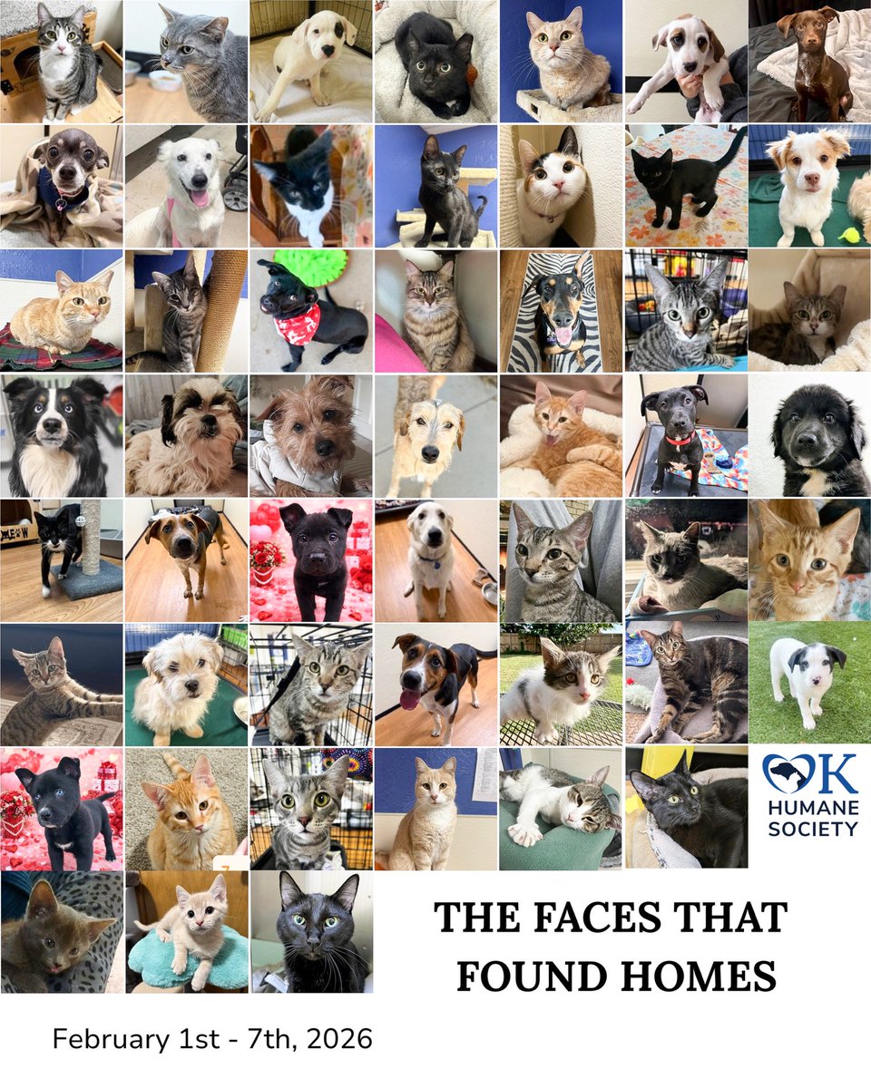 okhumane's tweet image. We had 56 adoptions last week! (Some pets not present for picture day. 😉) Congrats to these sweet faces and their adoptive families! 🎉