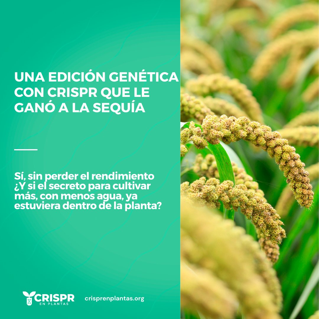 Agro-Bio tweet media