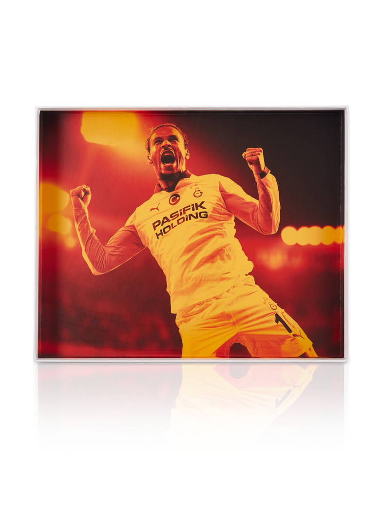 Leroy Sane: "Dünyanın en iyi takımlarında oynadım. En büyük yıldızlarla aynı takımlarda yer aldım. Büyük finaller, büyuk maçlar kazandım. Galatasaray'daki heyecanı, Galatasaraylılardaki tutkuyu hiçbir yerde yaşamadım.

Futbola başiadığım ilk günkü hırsla ve sizin benzersiz