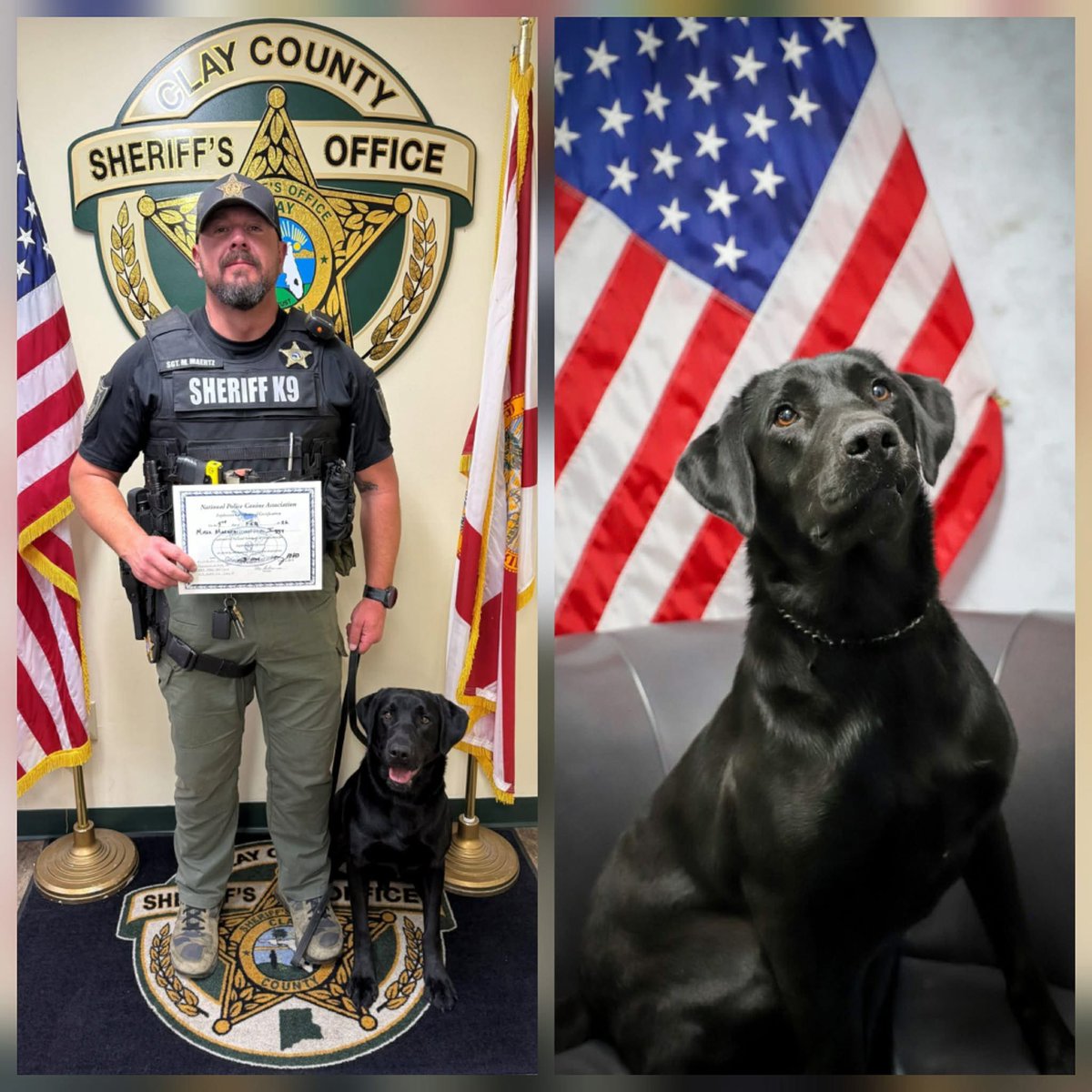 Clay County Sheriff's Office, FL tweet media