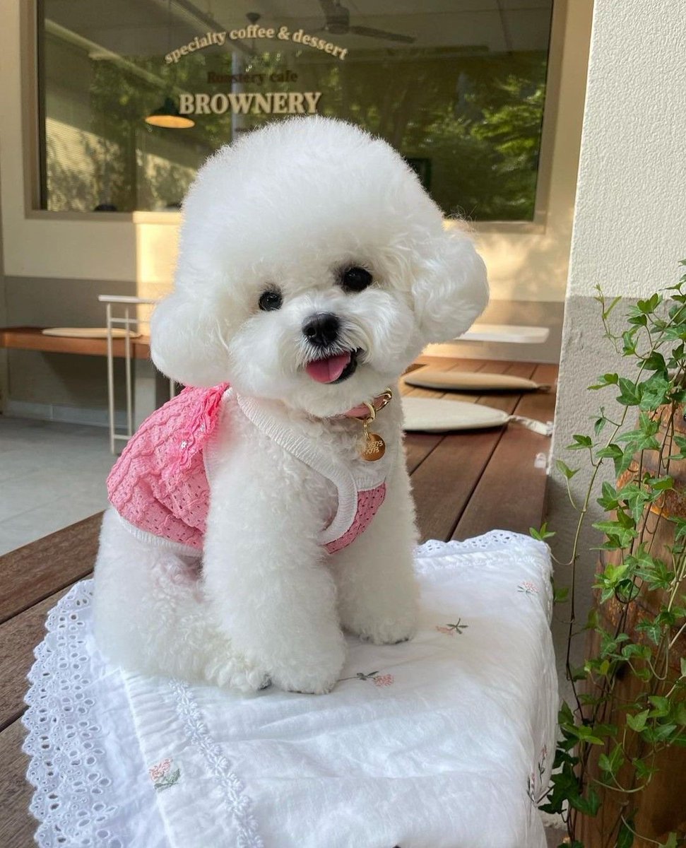 Jasonlu2020's tweet image. “币圈互关大军又来了，上千人刷屏‘互关必回’。结果呢？关注几天不回的、互关完偷偷取关的，比比皆是。拉黑一批，省得污染时间线。人性经不起考验，别再玩这套了。”