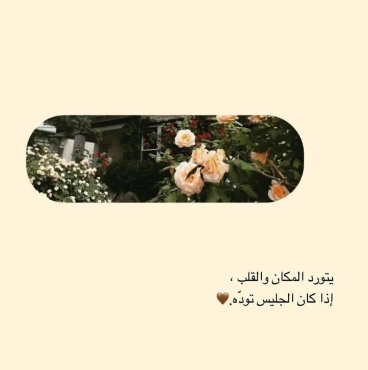 OB_S_SH's tweet photo. https://t.co/NErSh0iXfb