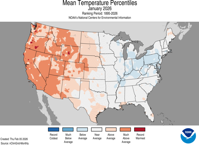 NOAA NCEI tweet media