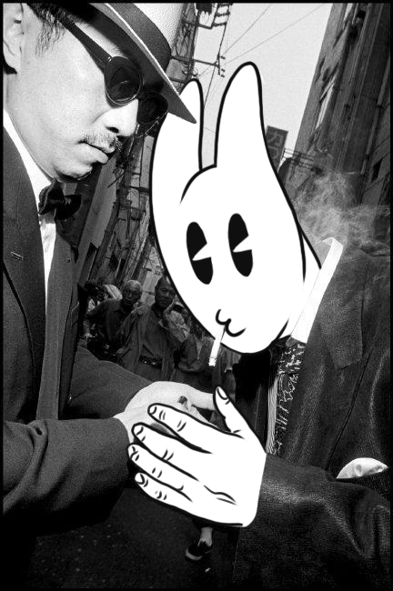 Hop Louie tweet media