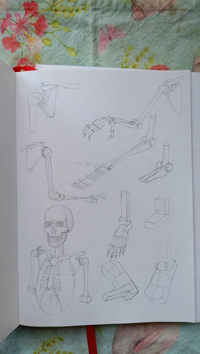 Mr____Cat tweet media