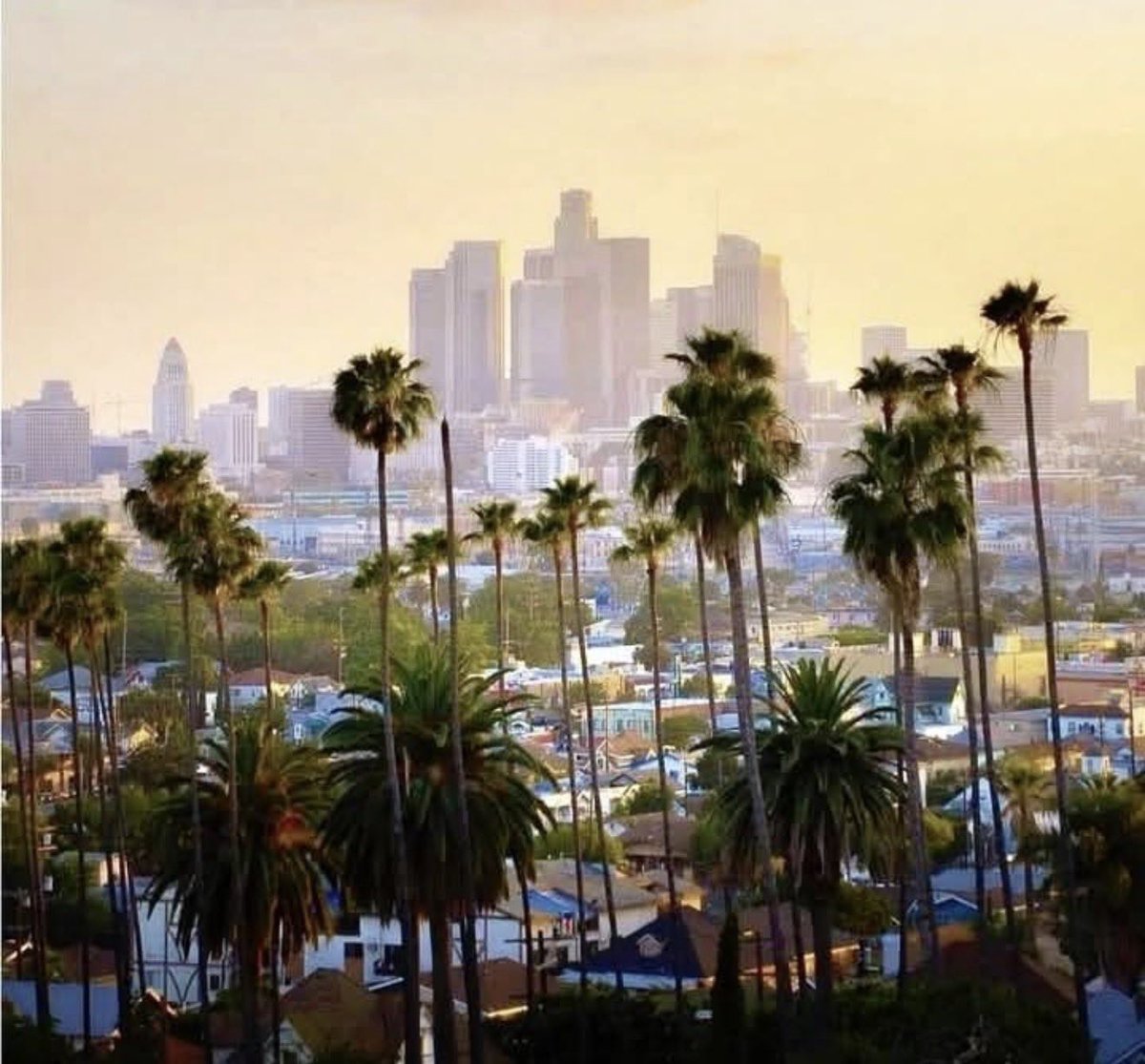 SaycheeseDGTL's tweet image. Next year “Super Bowl 61” is in Los Angeles, California 🌴 🏈