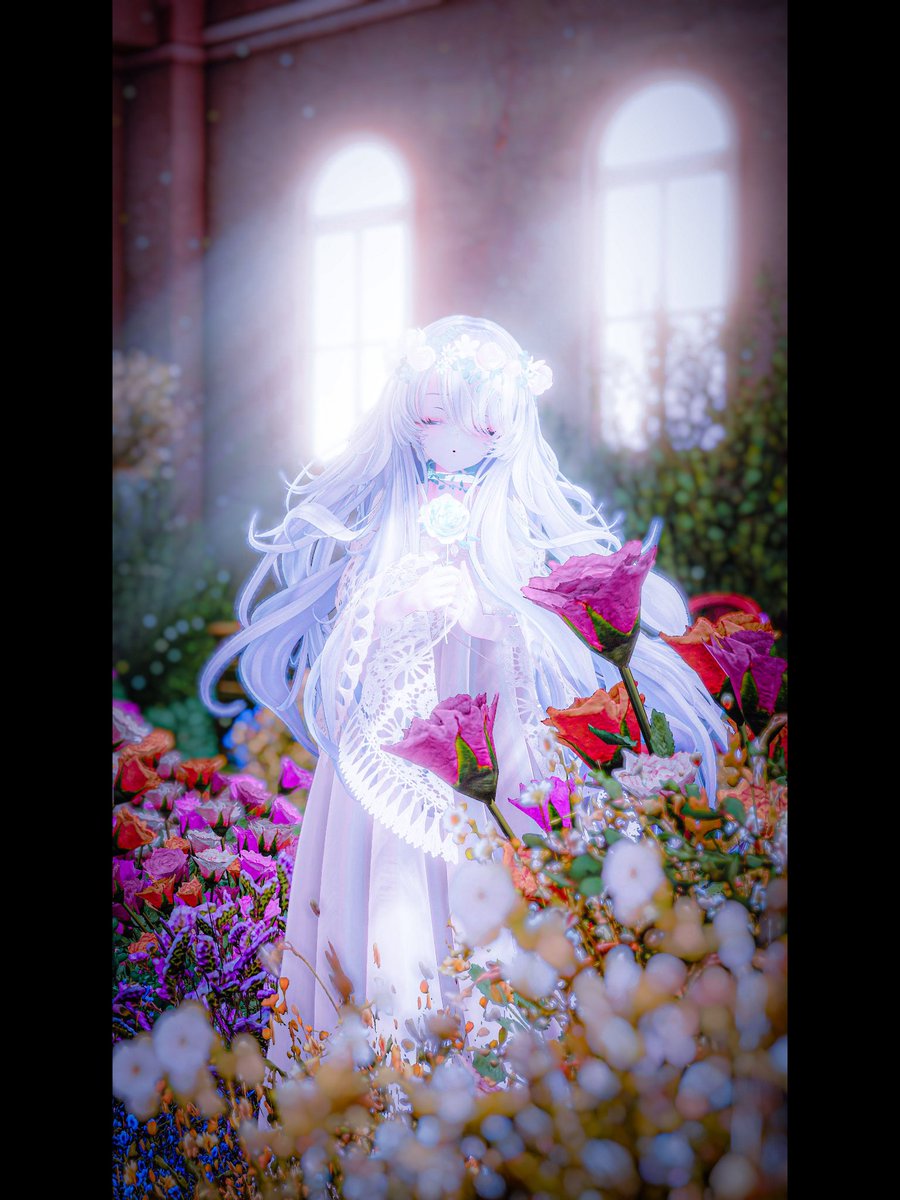 プルメリア (@arielmaria13) on Twitter photo 