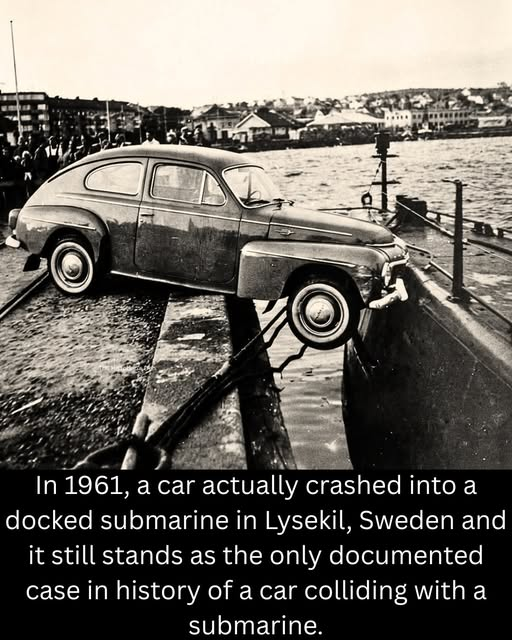 Igor Pauer tweet media