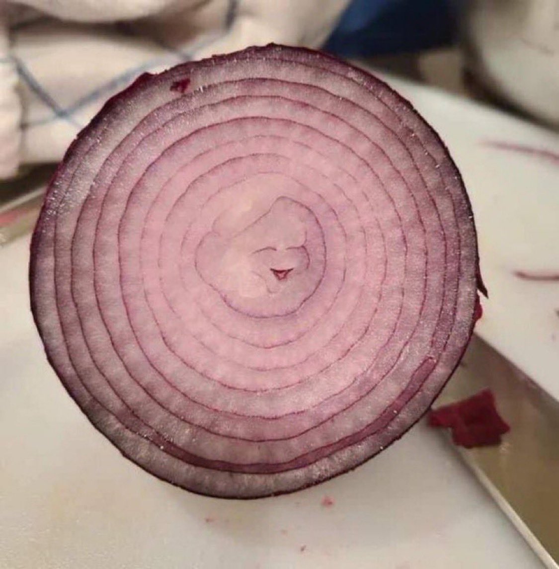 Hoopss's tweet image. don't ignore the happy little onion and you will have the best year ever