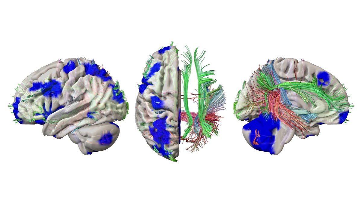 Paul Wright tweet media